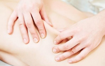 What is Fascia?