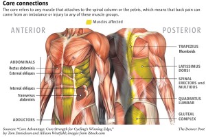 CORE-MUSCLES-IMAGES