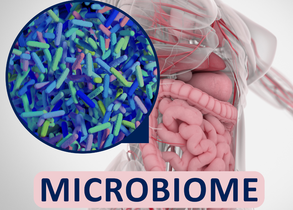 photo depicting the human gut and microbiome system